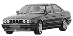 BMW E34 P2028 Fault Code